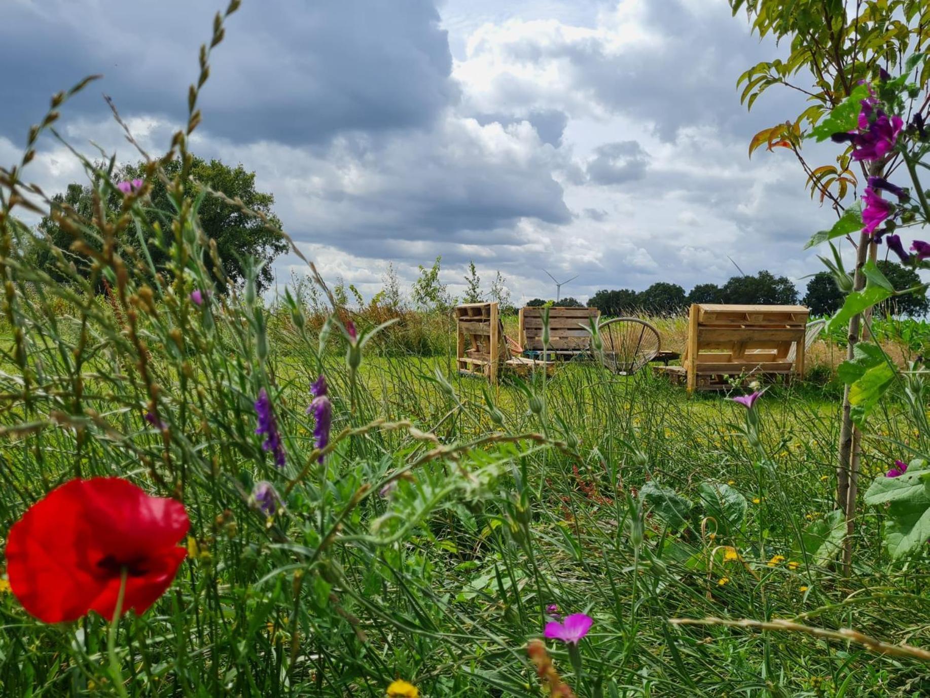 Bell Tent In Een Voedselbos Nederweert-Eind エクステリア 写真